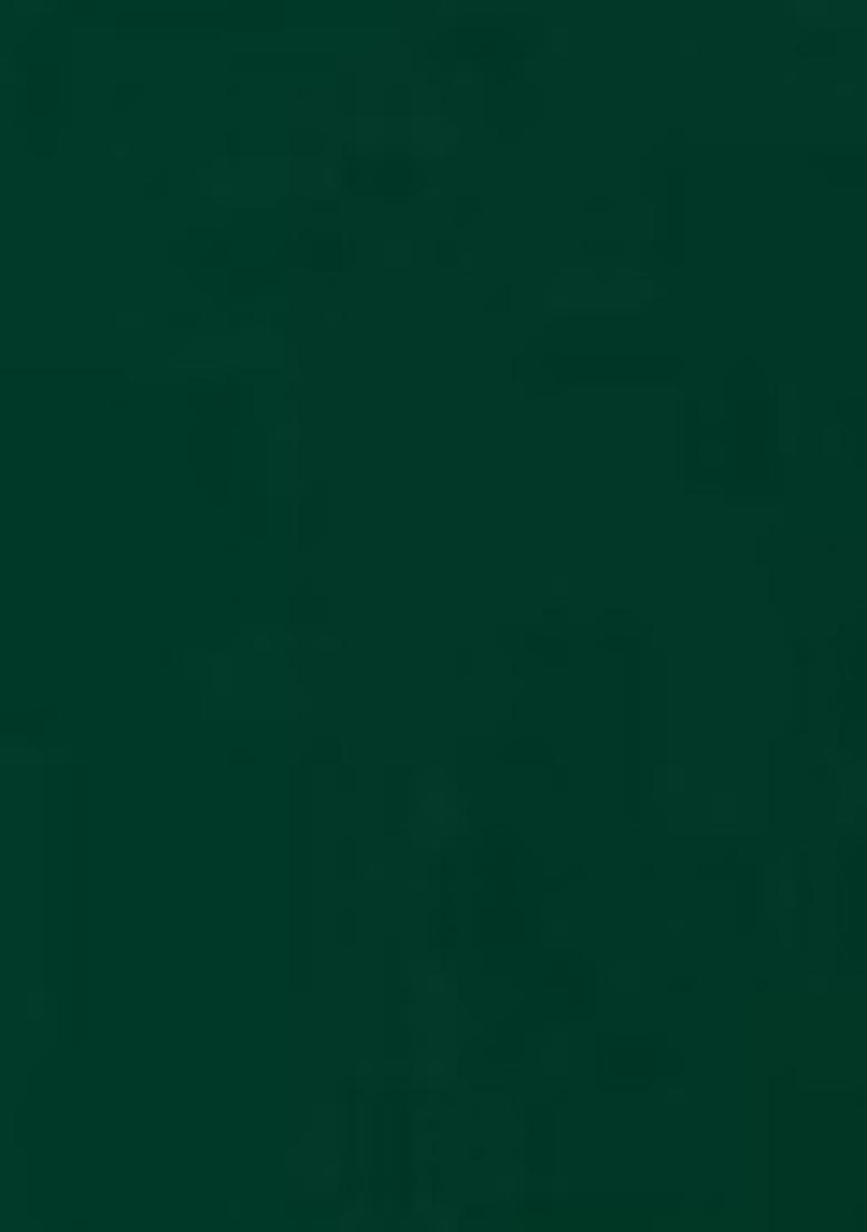 Green Embroidered Georgette Lehenga Set