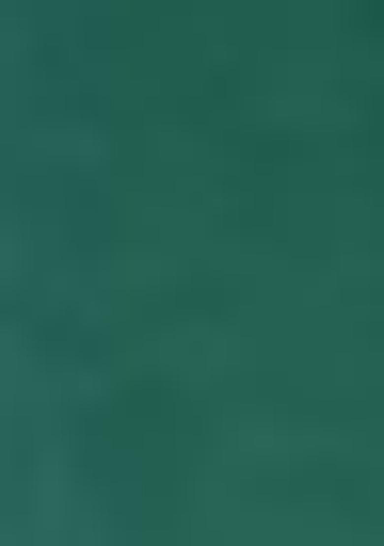 Green Embroidered Georgette Lehenga Set