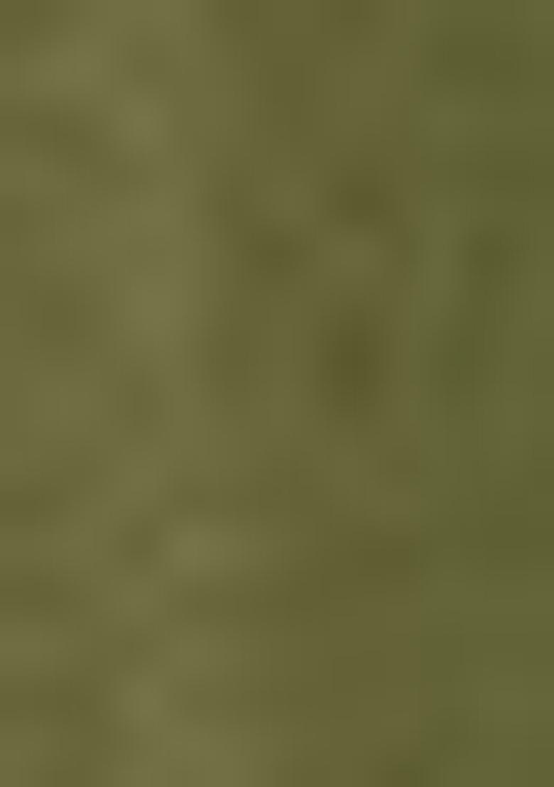 Mehendi Embroidered Georgette Lehenga Set