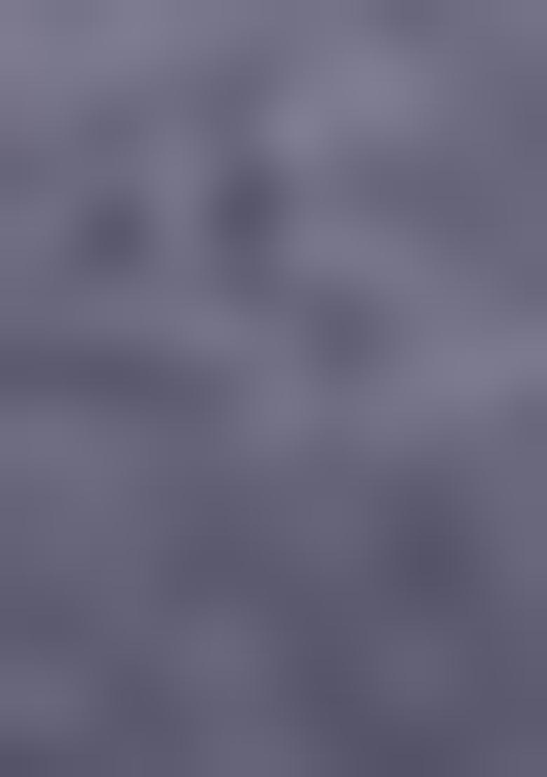 Grey Embroidered Georgette Lehenga Set