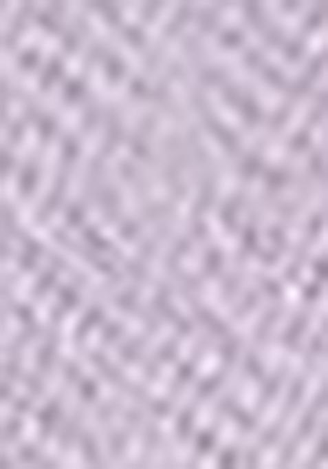 Lavender Embroidered Net Lehenga Set