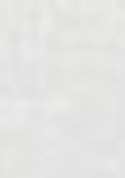 Off White Embroidered Net Lehenga Set