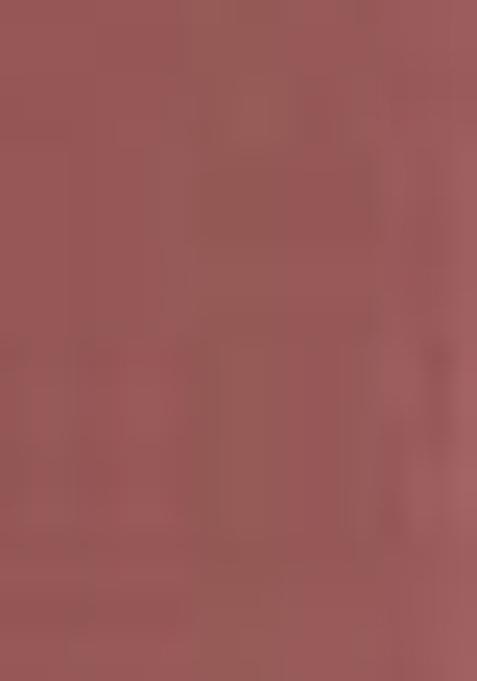 Dusty Pink Embroidered Georgette Lehenga Set