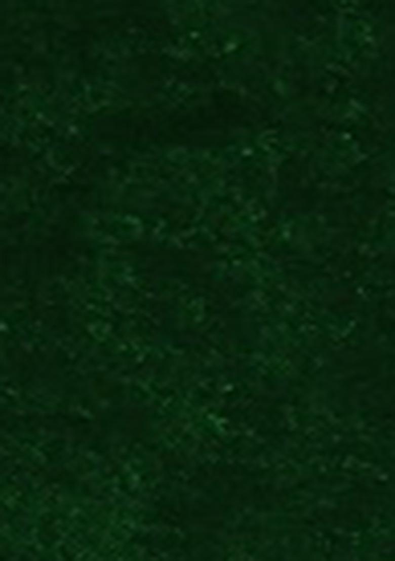 Green Embroidered Net Lehenga Set