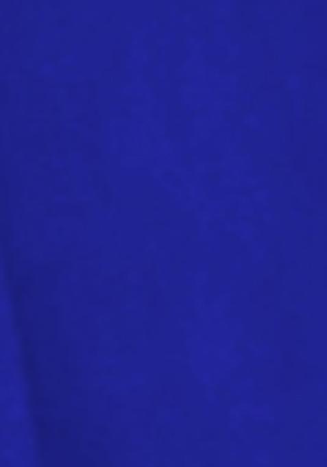 Royal Blue Embroidered Art Silk Lehenga Set