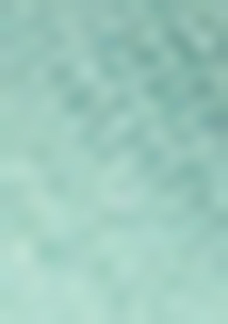 Sea Green Embroidered Net Lehenga Set