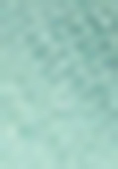 Sea Green Embroidered Net Lehenga Set