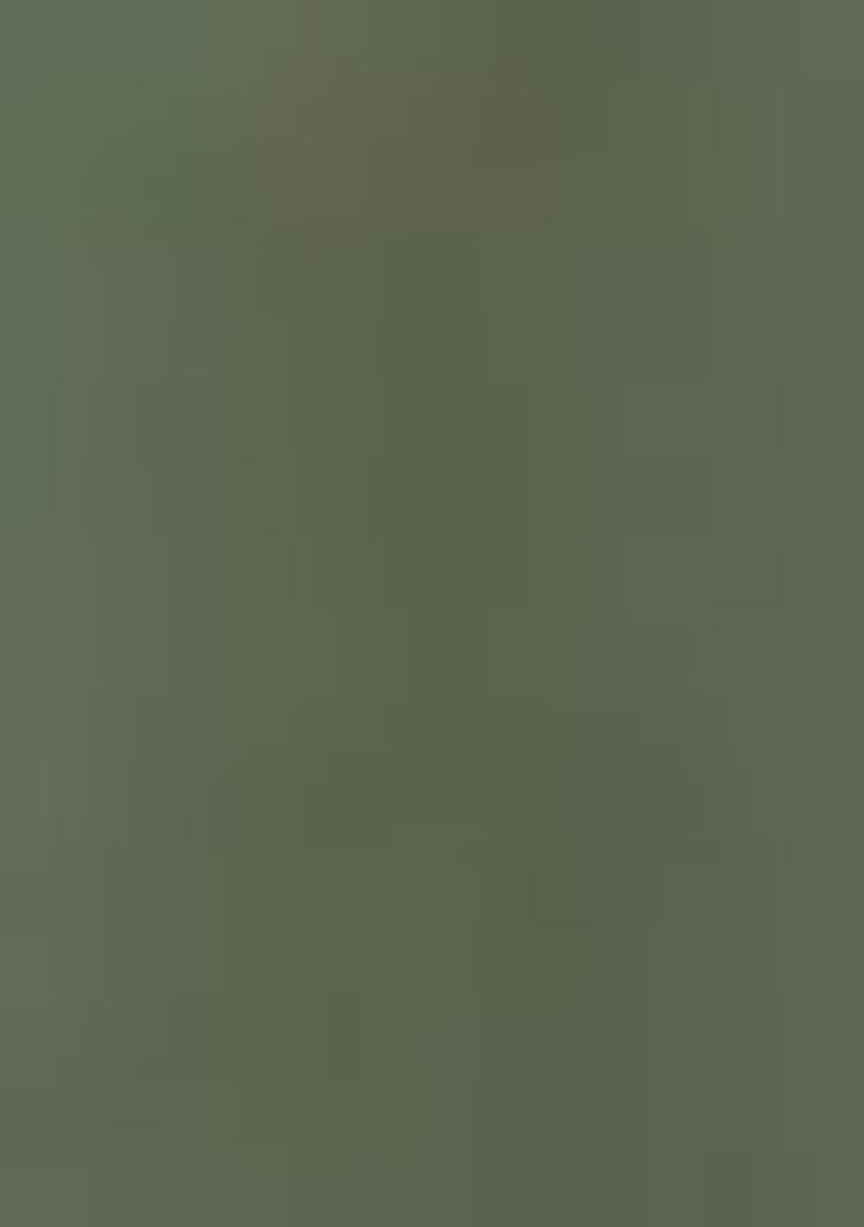 Olive Embroidered Net Lehenga Set