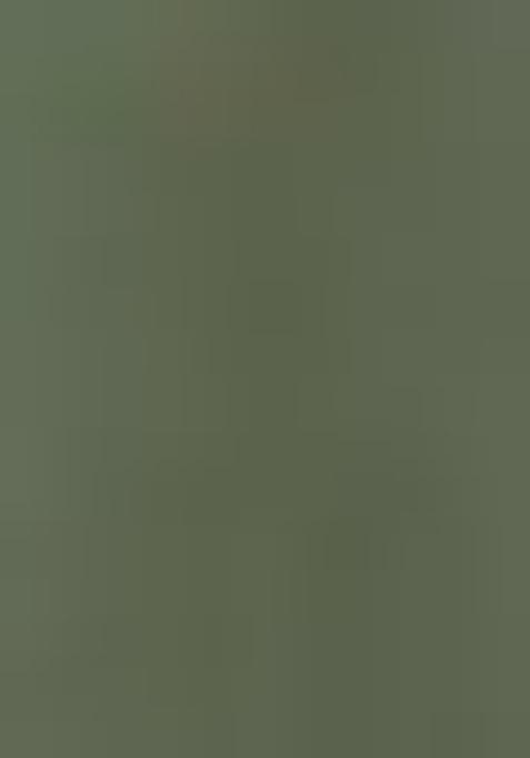 Olive Embroidered Net Lehenga Set