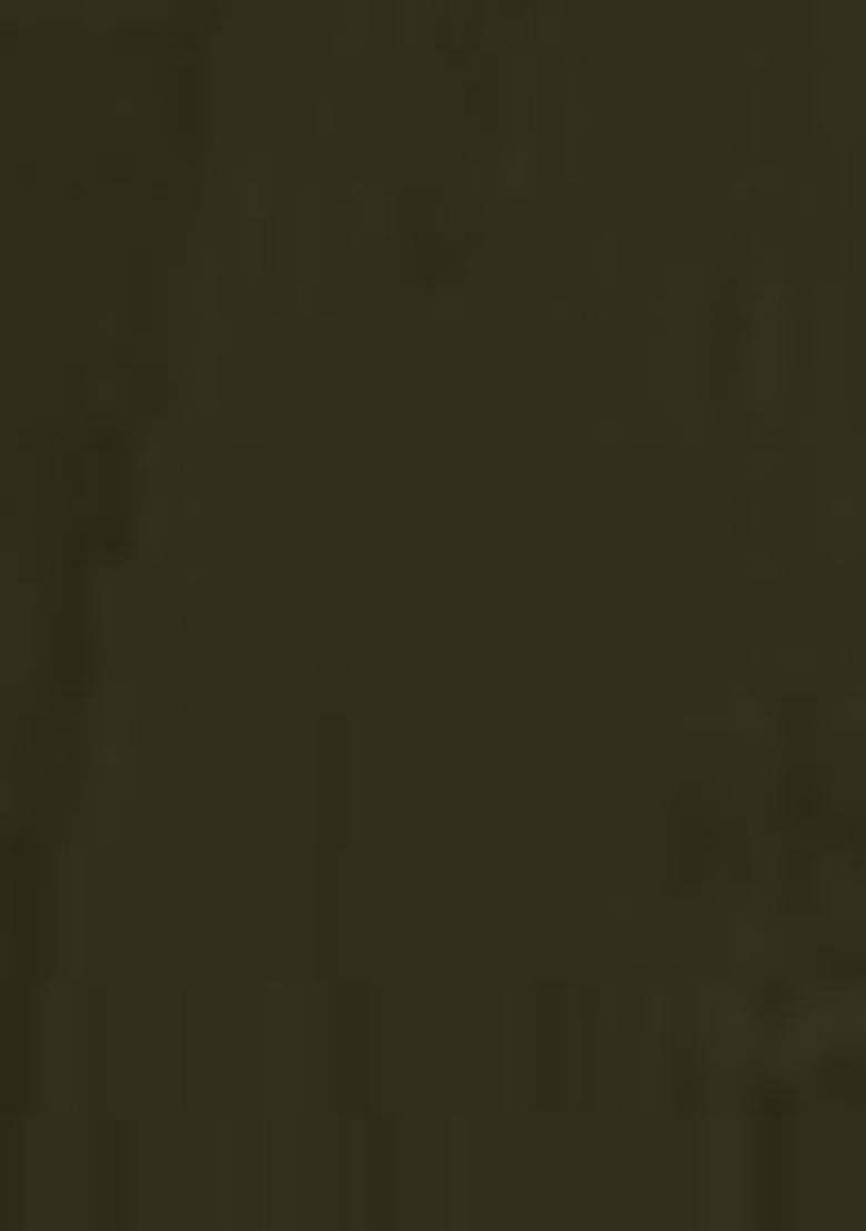 Green Embroidered Georgette Lehenga Set