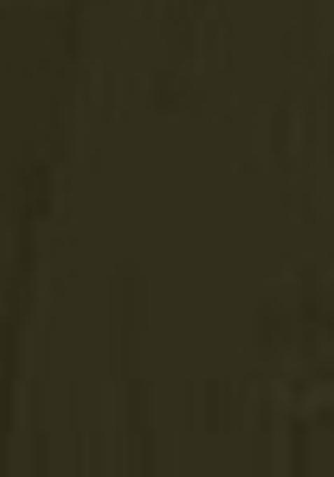 Green Embroidered Georgette Lehenga Set