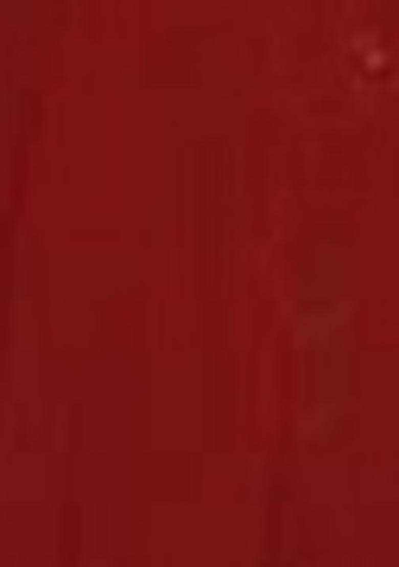 Red Embroidered Georgette Lehenga Set