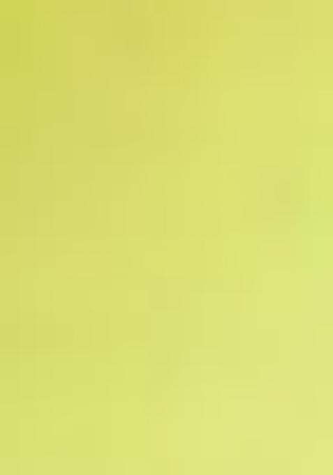 Lime Green Embroidered Georgette Lehenga Set