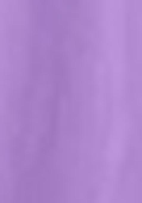 Lavender Embroidered Georgette Lehenga Set