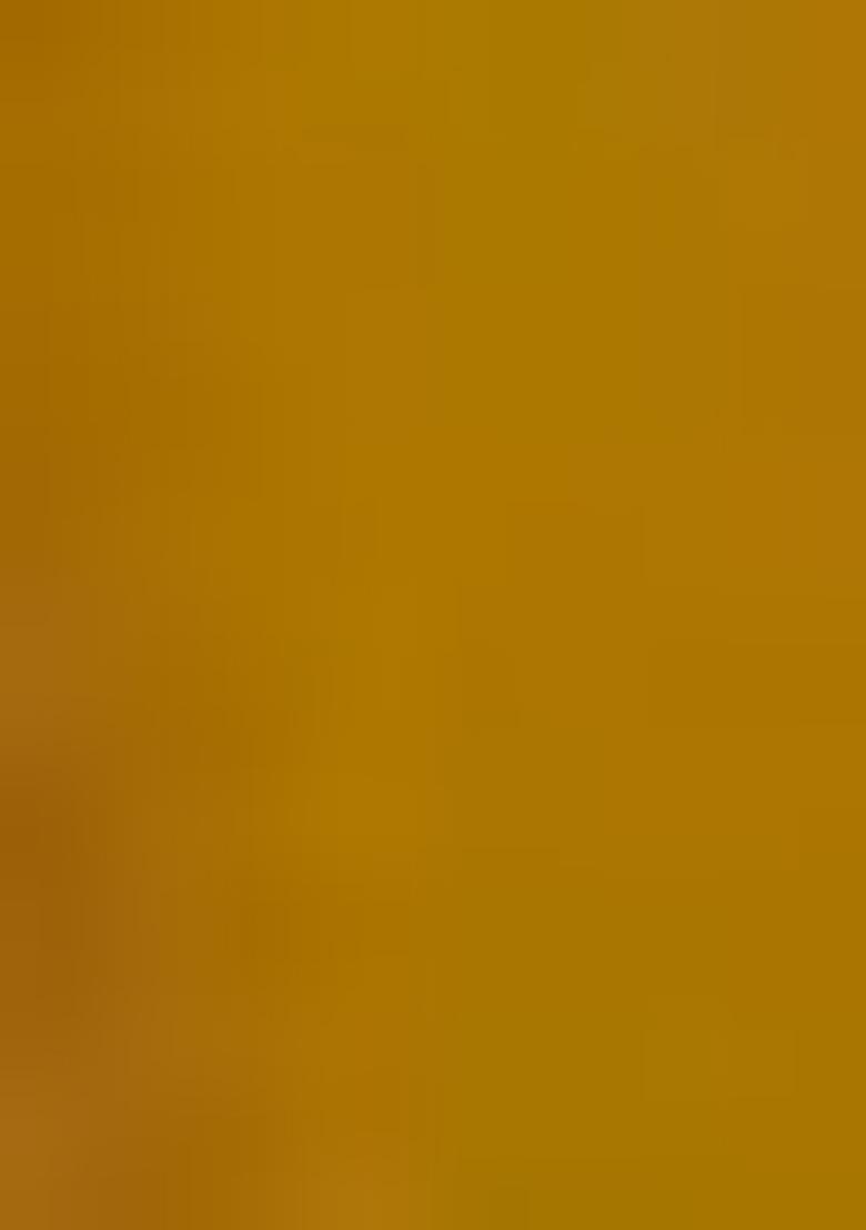 Yellow Embroidered Georgette Lehenga Set