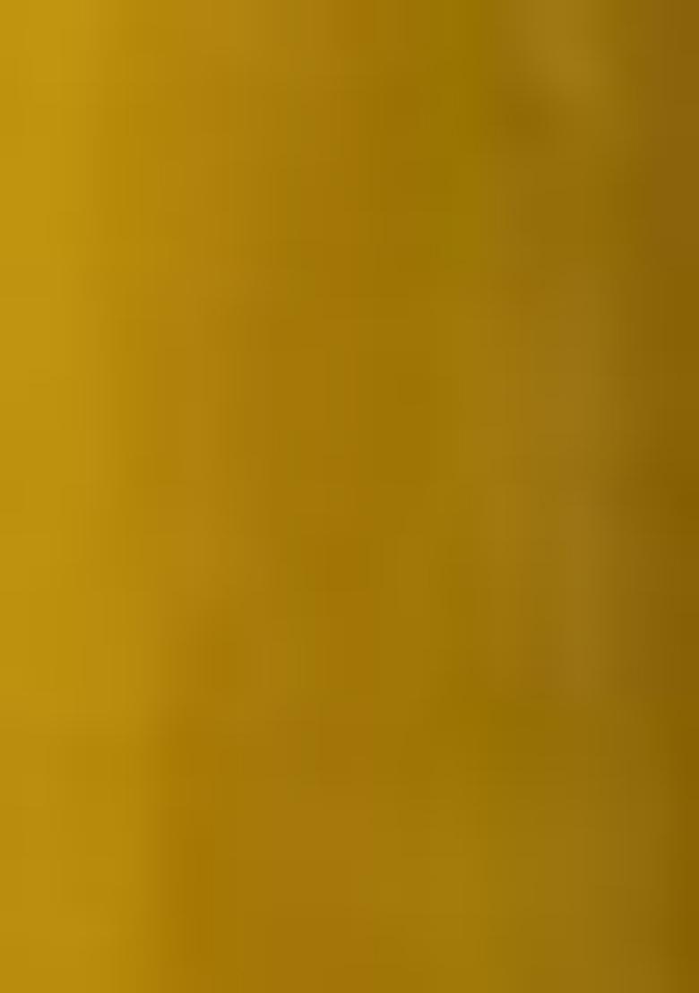 Yellow Embroidered Georgette Lehenga Set