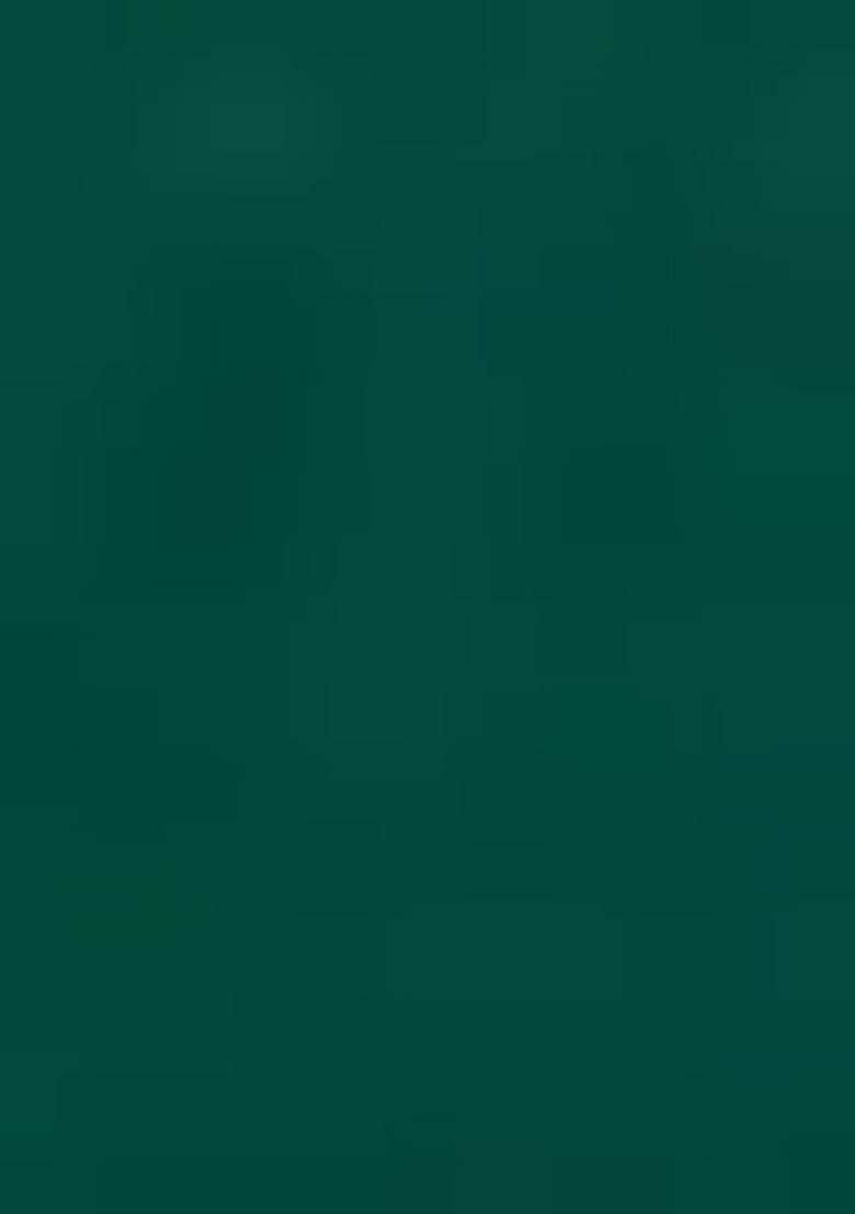 Green Embroidered Art Silk Lehenga Set