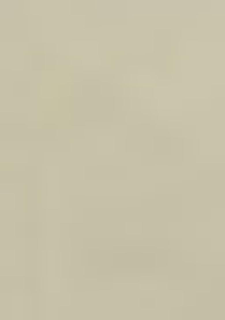 Pista Green Embroidered Georgette Lehenga Set