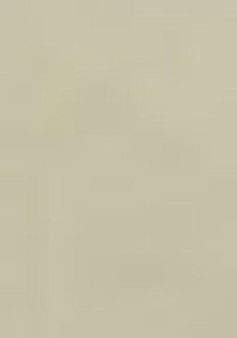 Pista Green Embroidered Georgette Lehenga Set