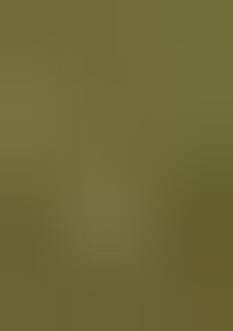 Green Embroidered Georgette Lehenga Set