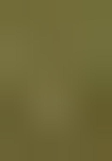 Green Embroidered Georgette Lehenga Set