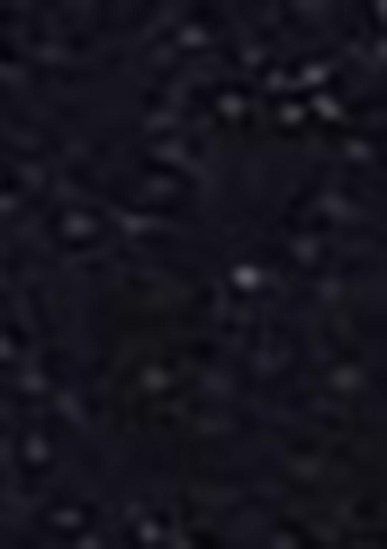 Navy Blue Embroidered Net Lehenga Set