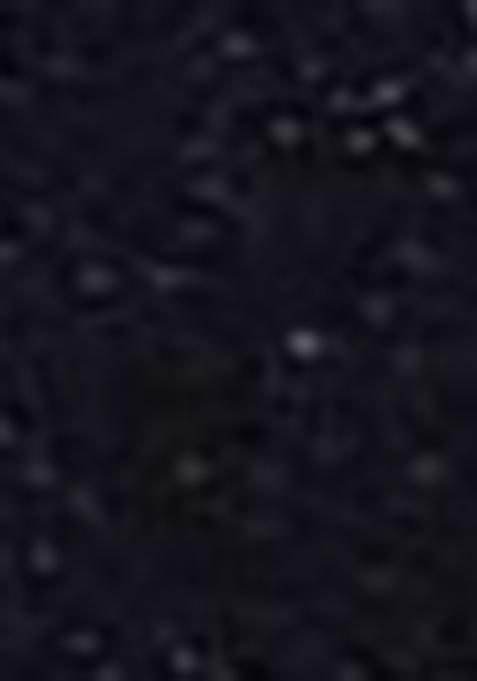 Navy Blue Embroidered Net Lehenga Set