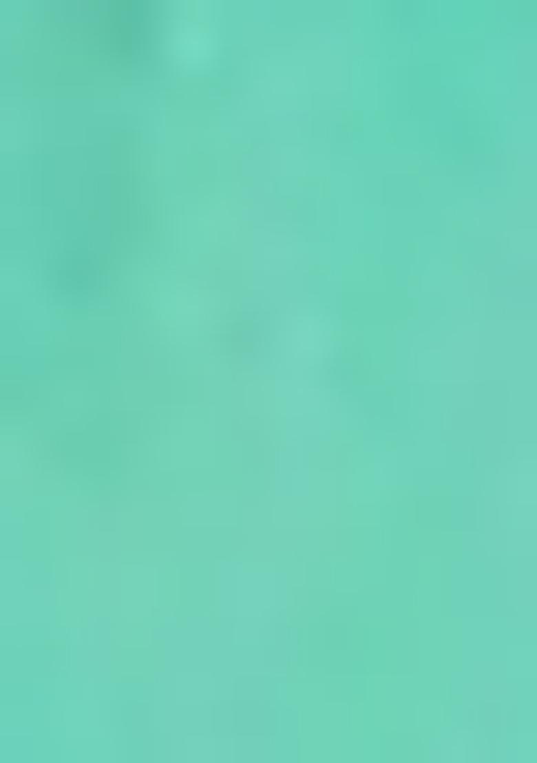 Pista Green Meenakari Work Silk Lehenga Set