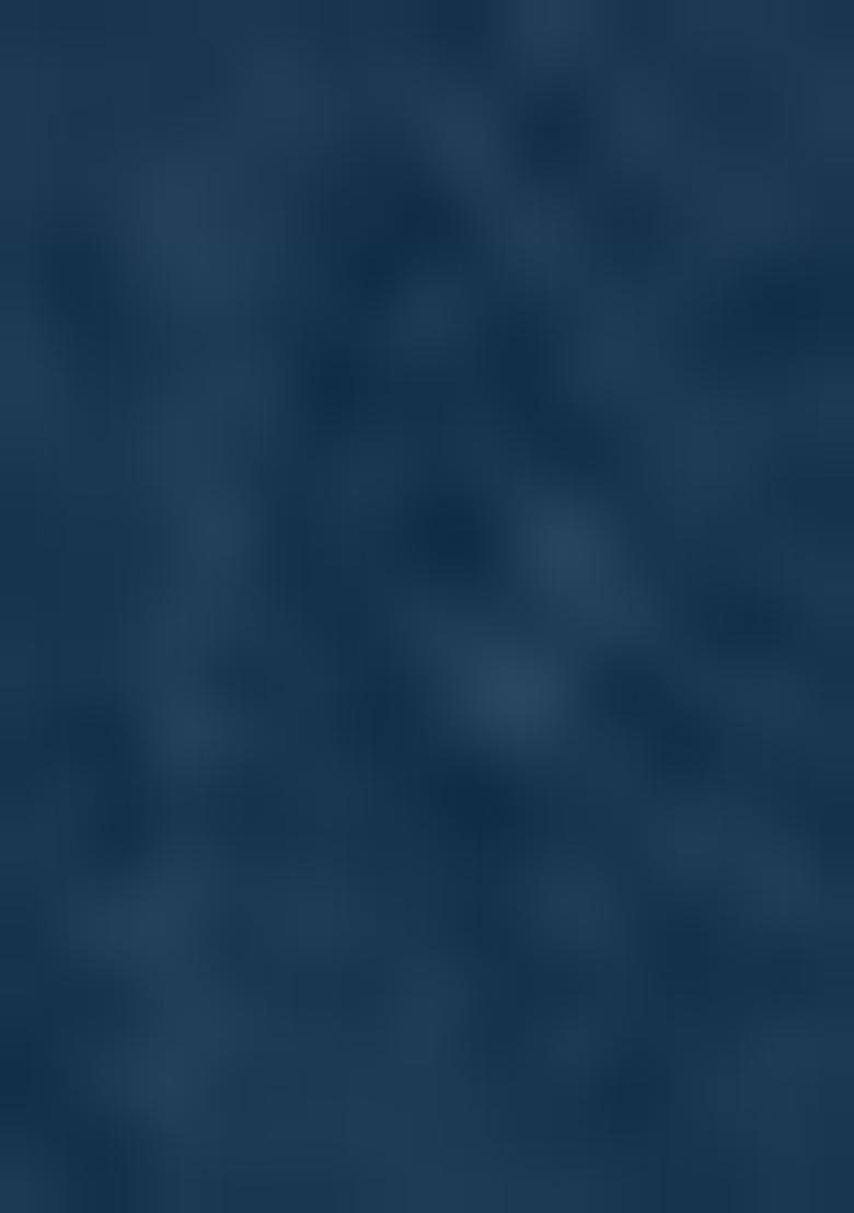 Blue Embroidered Georgette Lehenga Set