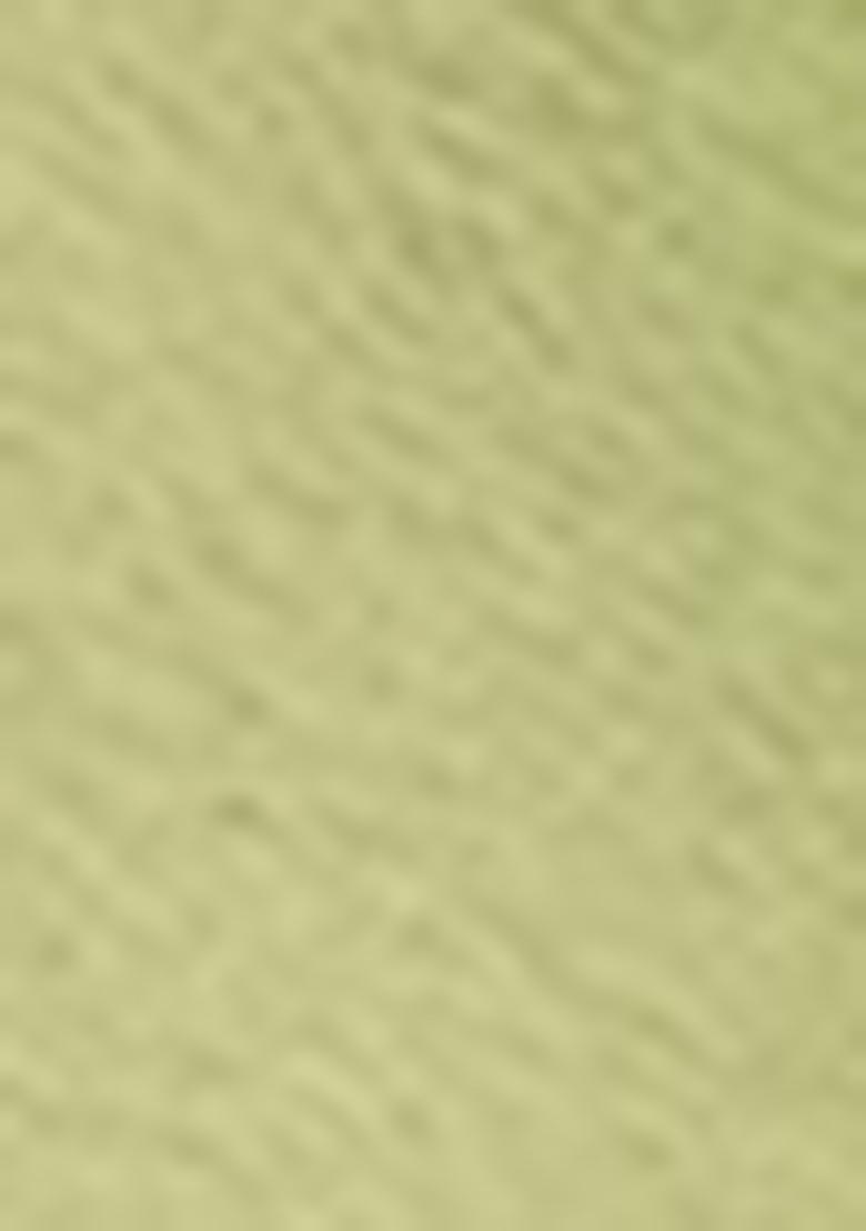 Light Green Embroidered Georgette Lehenga Set