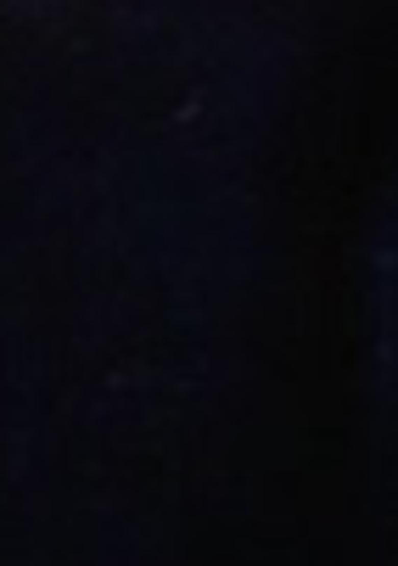 Navy Blue Zari Work Velvet Lehenga Lehenga Set