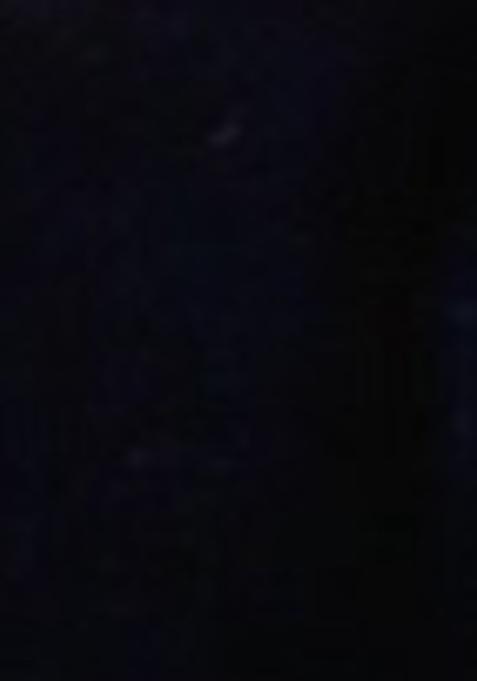 Navy Blue Zari Work Velvet Lehenga Lehenga Set