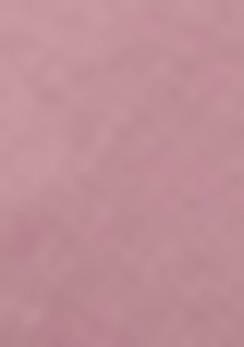 Light Lavender Embroidered Net Lehenga Set