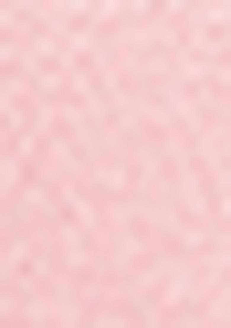 Peach Embroidered Net Lehenga Set