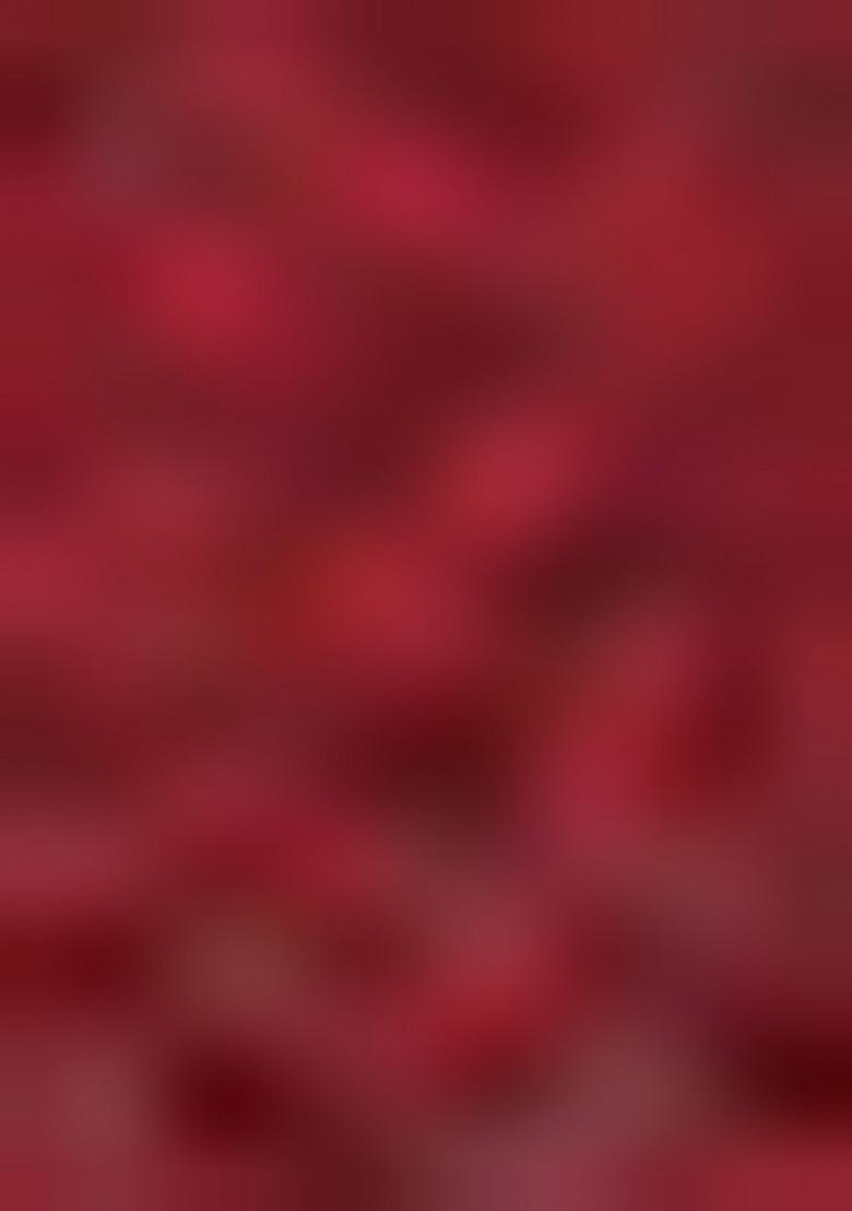 Maroon Embroidered Silk Lehenga Set