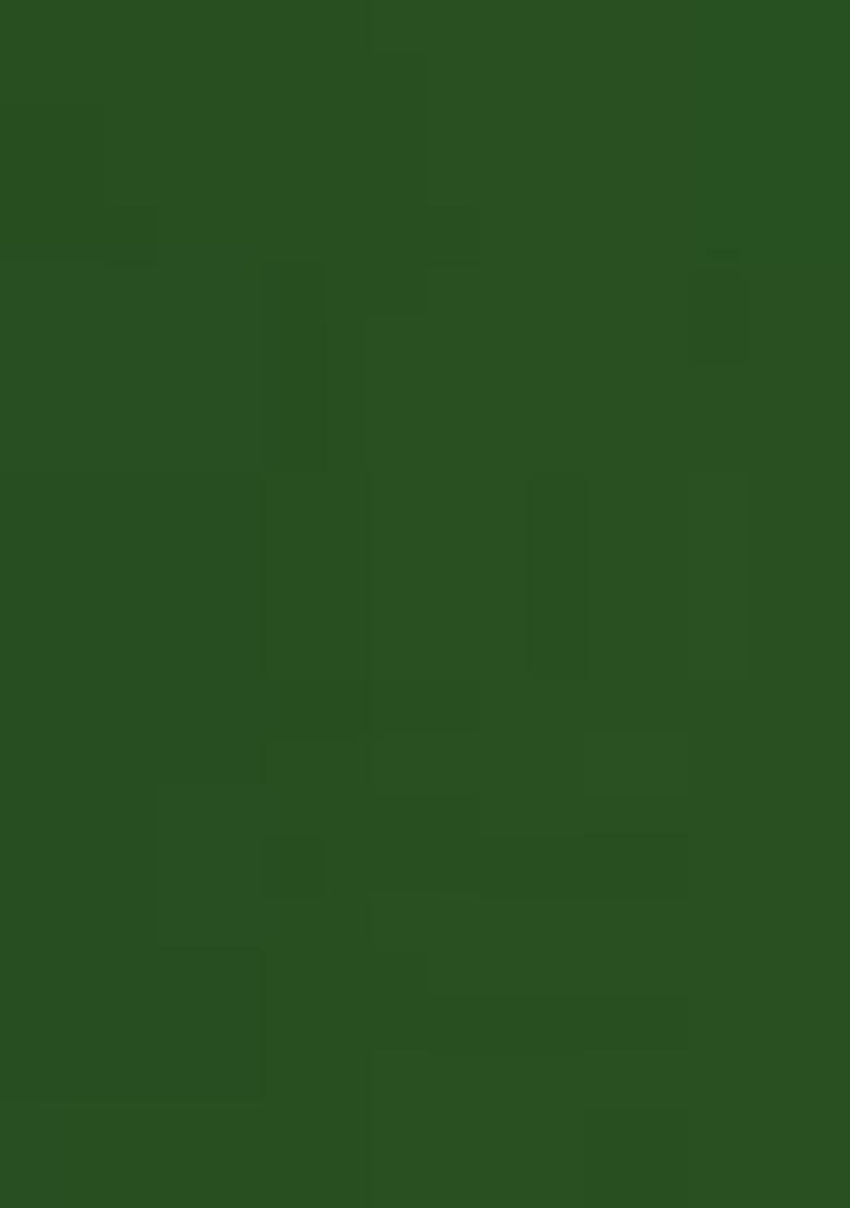 Green Bandhani Print Georgette Lehenga Set