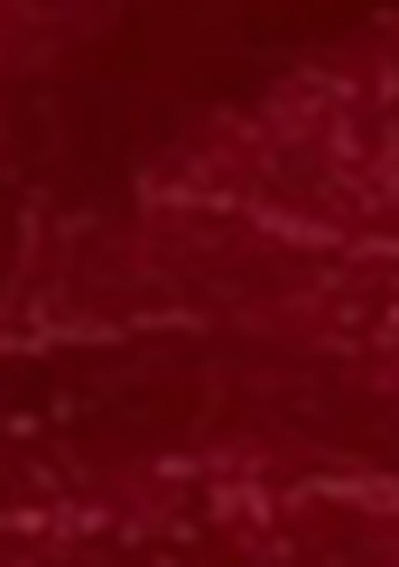 Maroon Embroidered Velvet Lehenga Set