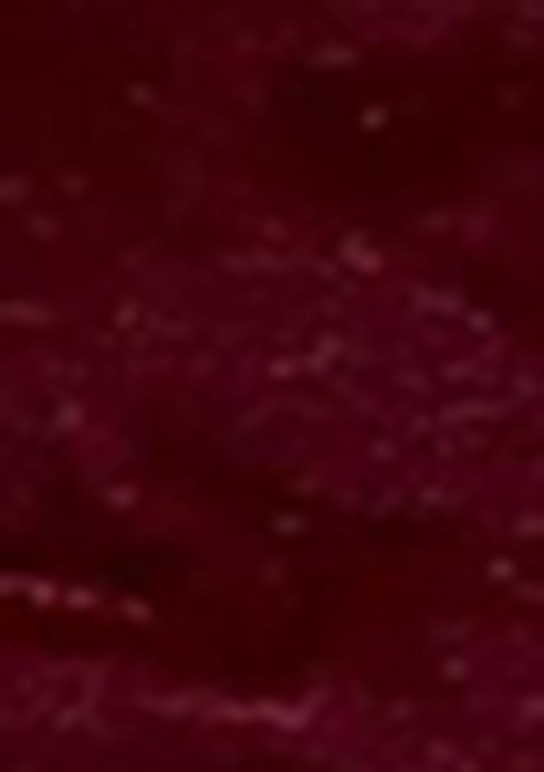 Dark Maroon Embroidered Velvet Lehenga Set