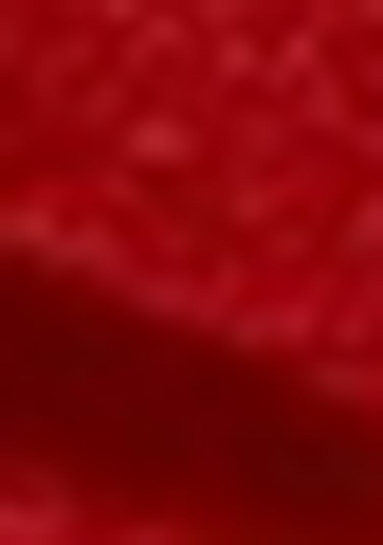 Red Embroidered Silk Lehenga Set