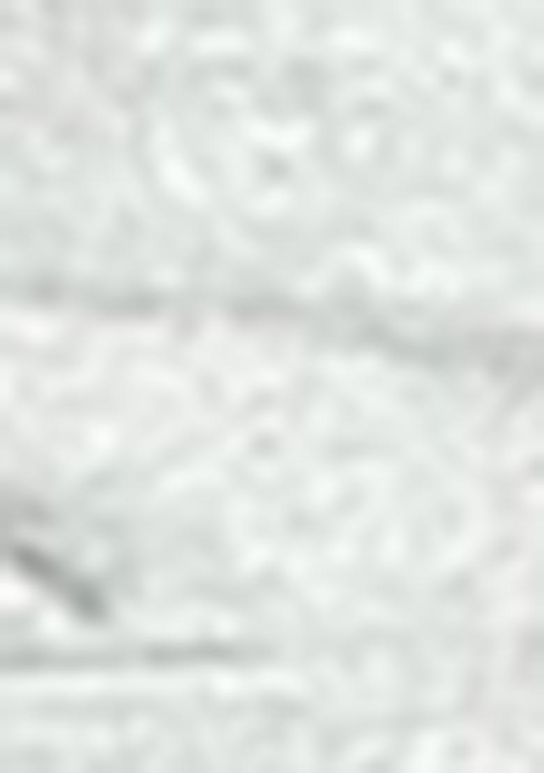 Cream Embroidered Silk Lehenga Set