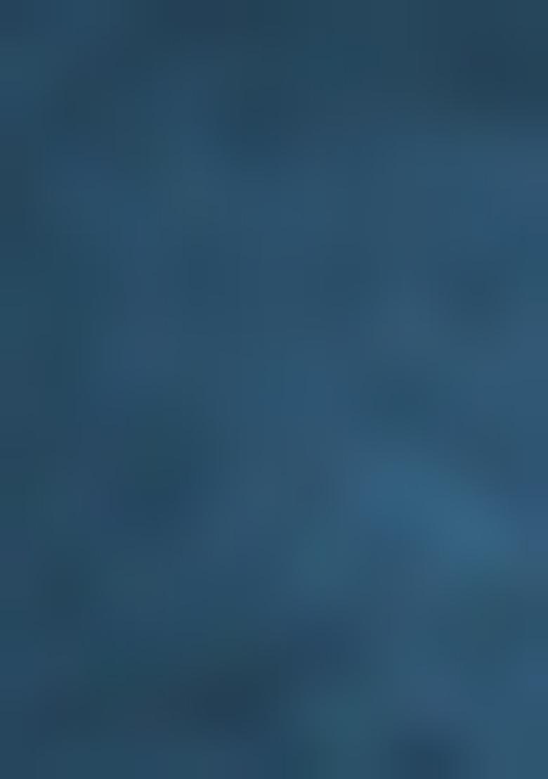 Blue Embroidered Art Silk Lehenga Set