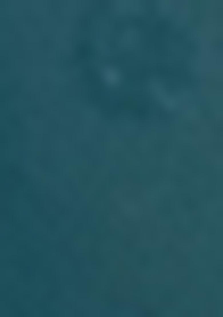 Teal Embroidered Art Silk Lehenga Set