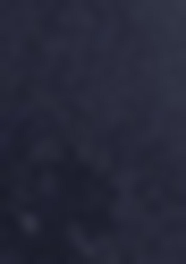 Navy Blue Embroidered Art Silk Lehenga Set