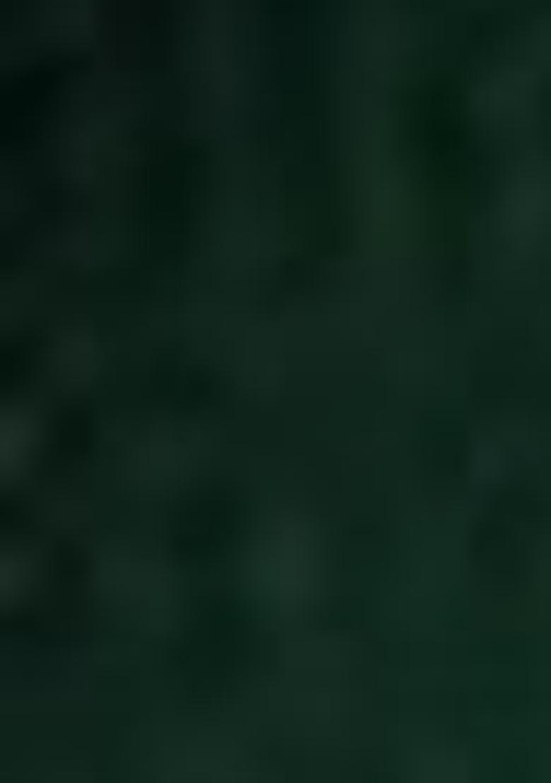 Green Embroidered Georgette Lehenga Set