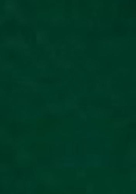 Green Printed Georgette Lehenga Set