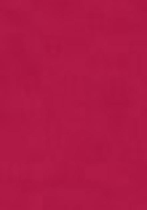 Pink Printed Georgette Lehenga Set