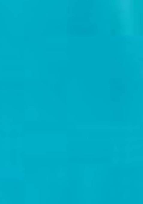 Blue Printed Georgette Lehenga Set