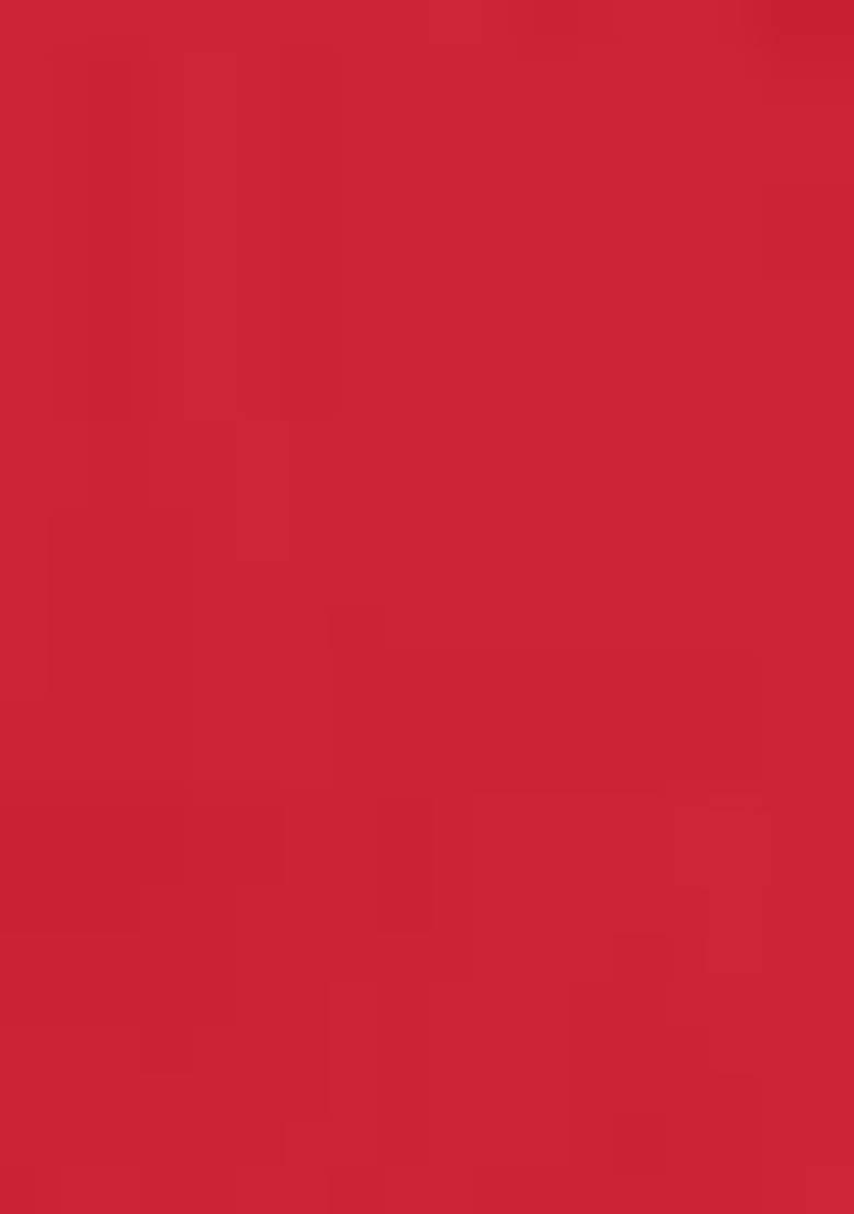 Red Printed Georgette Lehenga Set