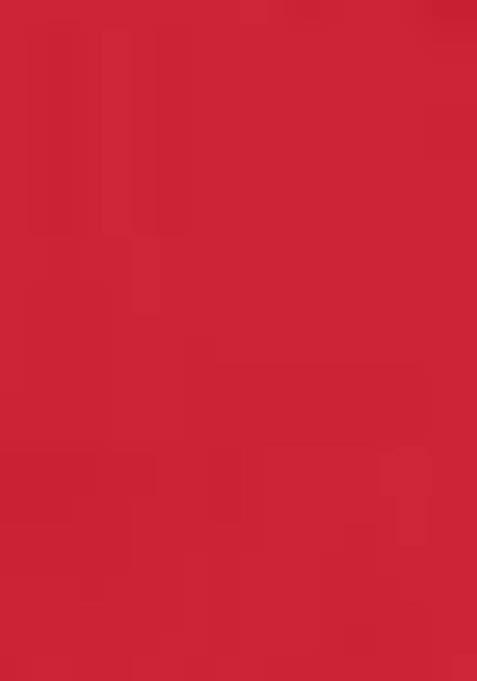 Red Printed Georgette Lehenga Set