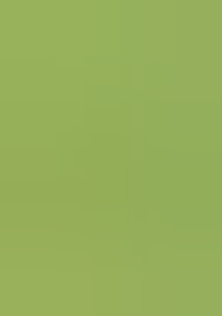 Green Printed Art Silk Lehenga Set